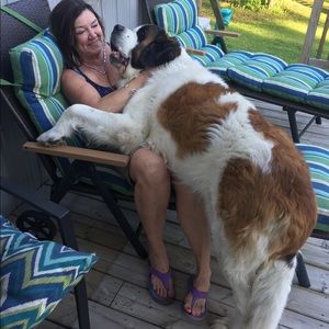 Meet your Posher, Jeanine